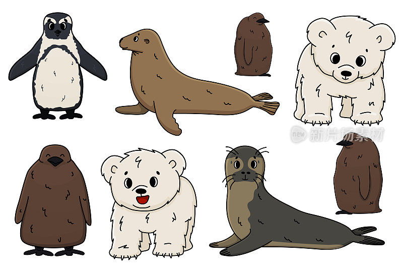 Vector Penguin, king Penguin chick, fur seal, polar bear幼崽，small Common seal。一套孤立的小卡通轮廓可爱的海洋和海洋动物为孩子的书，贴纸或印刷的衣服。